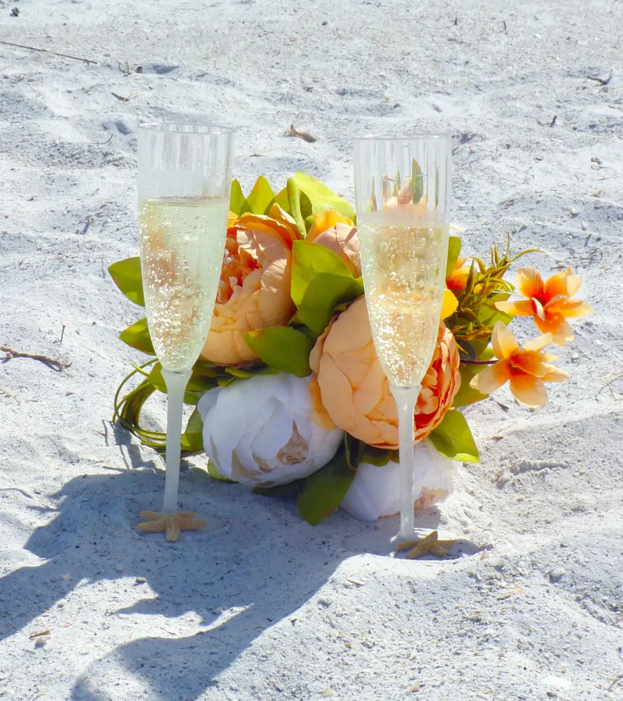 beach weddings in clearwater and St Petersburg FL